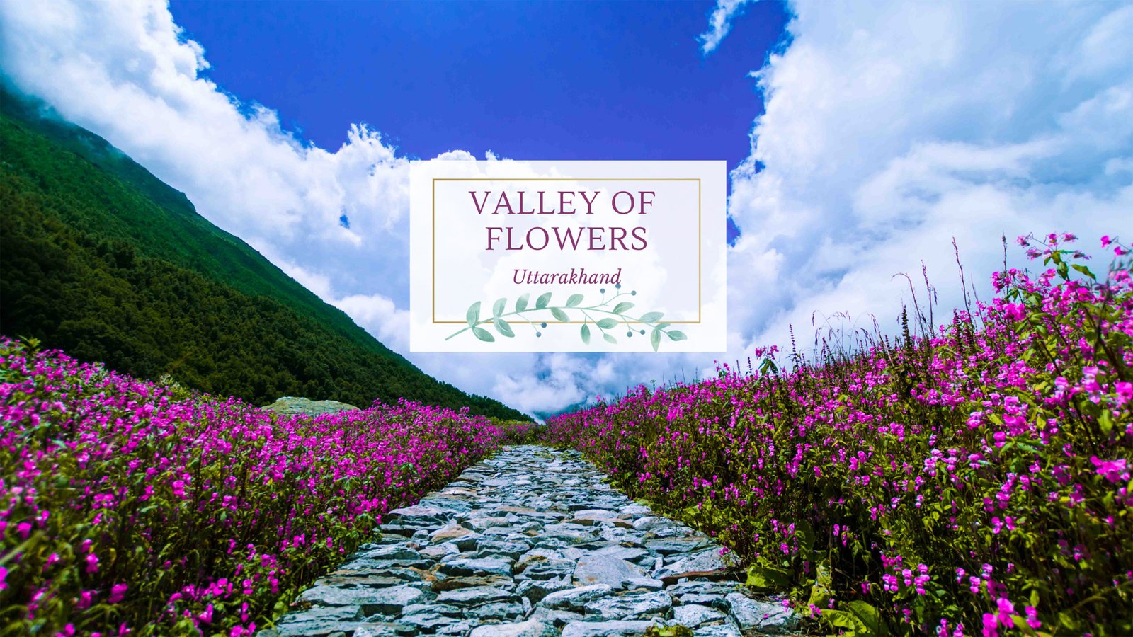 Valley of Flowers